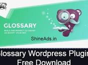 Glossary WordPress Plugin Free Download