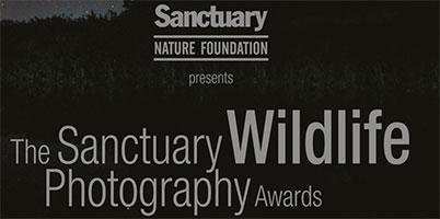 Sanctuary Wildlife Photography Awards