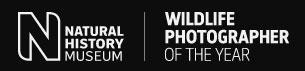 Natural History Museum Wildlife Photographer of The Year Competition