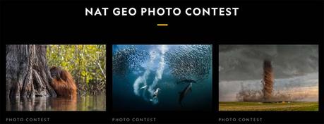 13 Best Wildlife Photography Competitions To Try in 2021