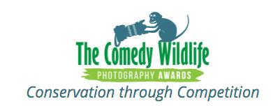 ComedyWildlife Photography Awards