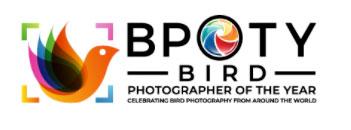 Bird Photographer Of The Year Photo Contest