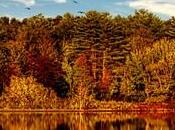 Where Best Fall Foliage Massachusetts