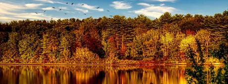 Where to see the best fall foliage in Massachusetts