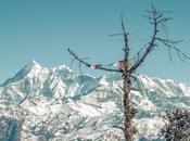 Best Treks Uttarakhand, Himalayas
