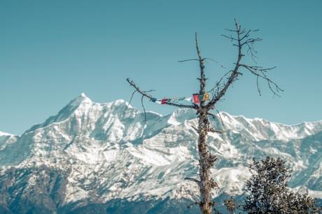 5 Best Treks in Uttarakhand, Himalayas