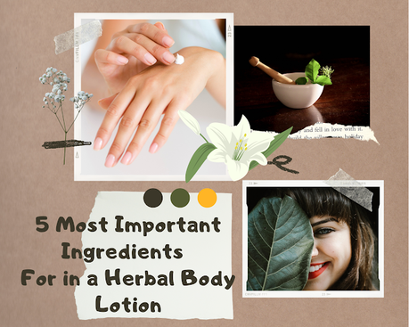 5 Most Important Ingredients To Look For in a Herbal Body Lotion in Winter