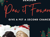 OSPCA Christmas Campaigns Success Pets Community