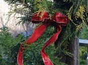 Decking Those Halls