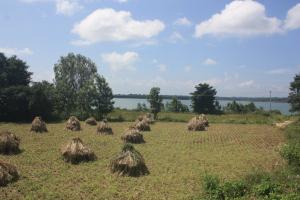 POEM: Fallow Field Heroics [Ottava Rima]