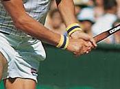 Lonely Bear Transported Could Back Wild