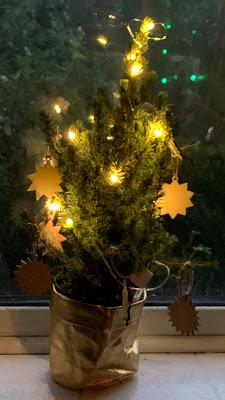 Plant Review - A crafty Christmas with Bloom & Wild