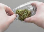 Ziploc Bags Recyclable? (And They Reusable)