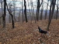 Hiking with #theCompassCBF: Keys Gap and Loudoun County Wine Country
