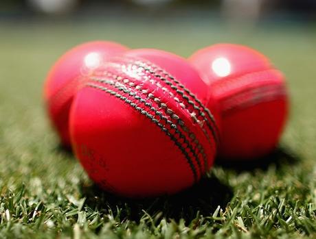 India survives day 1 at Adelaide .. ..   know ..  ‘Dianthus plumarius’,