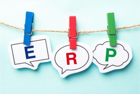 How Much Does an ERP System Cost? 2021 Pricing Guide