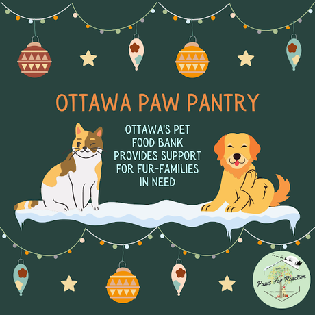 Ottawa's pet food bank: Ottawa Paw Pantry provides food for fur-families in need