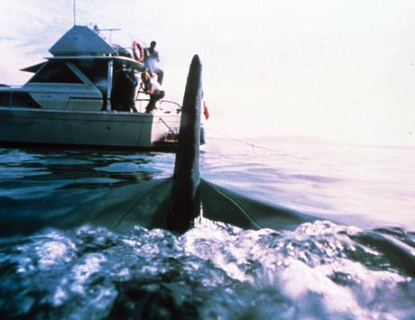 Shark Attack 3: Megalodon – Coming to UK Digital HD 4th January