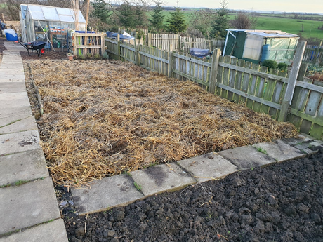 Day 33 - Then there will be light, muck, onions, leaf mould and an improvised bird feeder