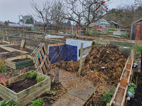 Day 32 - How many sides does a box have? and sorting out the compost bins.