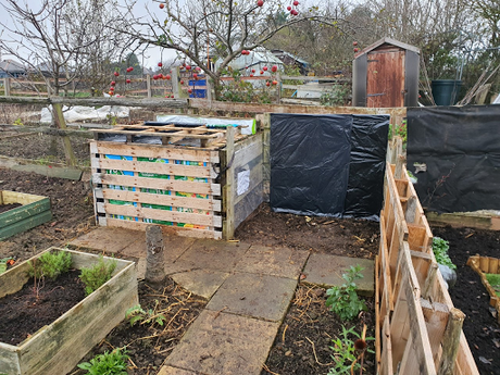 Day 32 - How many sides does a box have? and sorting out the compost bins.