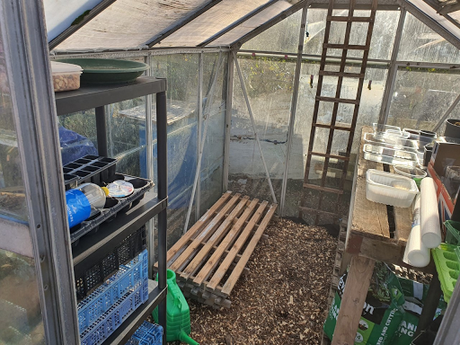 Day 30 - Raspberry canes and build your own shelving.