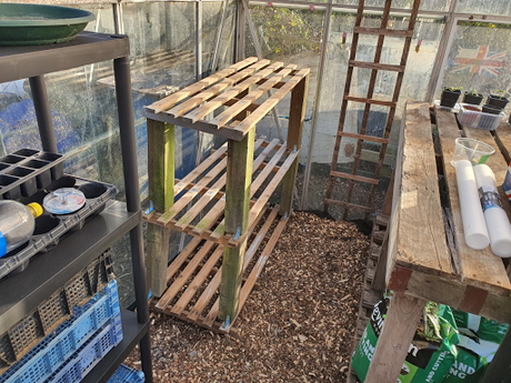 Day 30 - Raspberry canes and build your own shelving.