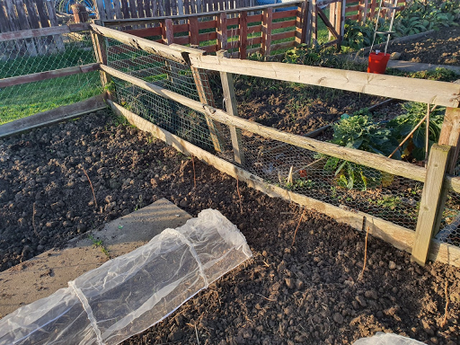 Day 30 - Raspberry canes and build your own shelving.