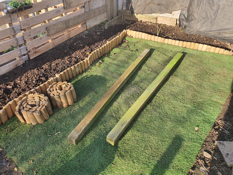 Day 30 - Raspberry canes and build your own shelving.