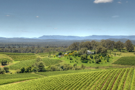 What is the Hunter Valley known for?
