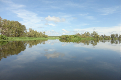 What animals live in Kakadu?