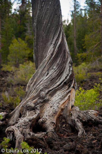 bend oregon