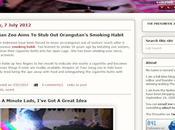 Meowbify Your Website