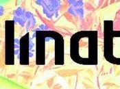 Free Downloads from Pollinate Records