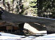 Most Unusual Tunnels World