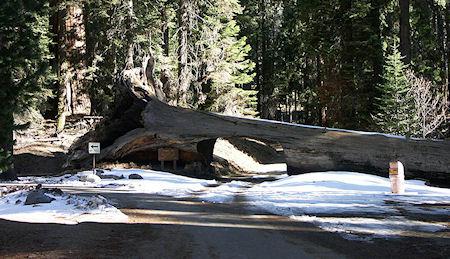 8 Of The Most Unusual Tunnels In The World