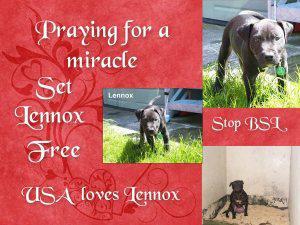 Save Lennox NOW