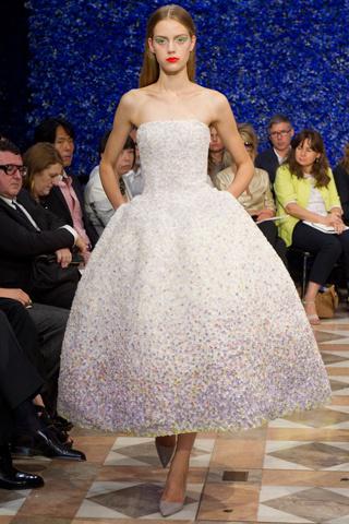 Couture Week Paris: Dior