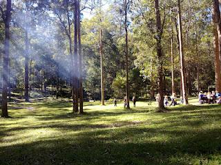 Australian Bush, Picnic, Koala Park