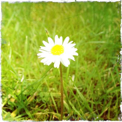 Lomography - The Easy Way