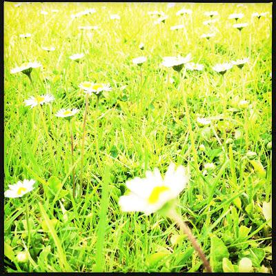 Lomography - The Easy Way