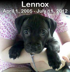 For Brooke…Justice for Lennox
