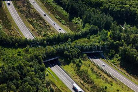 Ecoduct in the Veluwe nature area, The Netherlands: image via theworldgeography.com