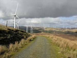 Can U.S. Wind Energy Survive without Government Backing?