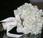 Wedding Flowers Their Symbolic Meanings