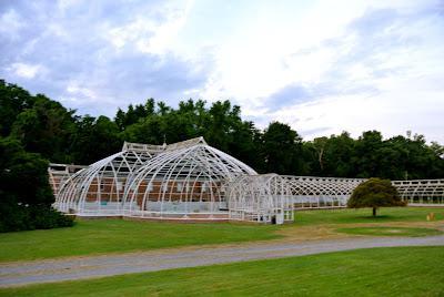 born & brewed in westchester