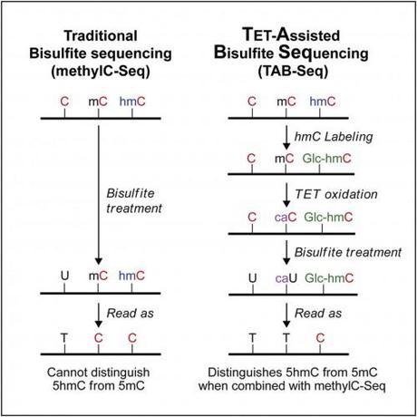 methylC-Seq is so passe these days