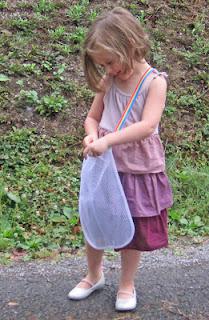 Messenger Bag for Collecting