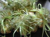 Nail Polish Exchange Haul