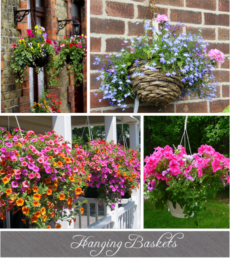 Brighten Up Your Outdoor Spaces!